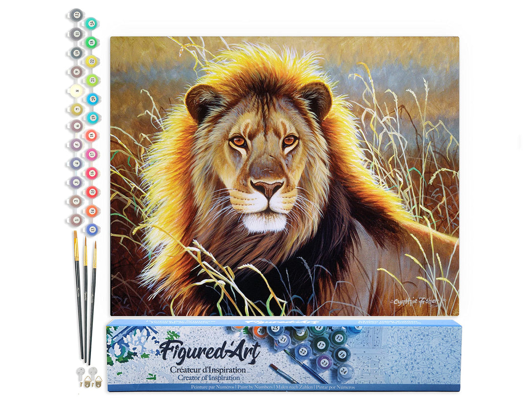 Figured'Art Malen Nach Zahlen Erwachsene Löwe in der Savanne - Paint by Numbers Basteln DIY Bastelse