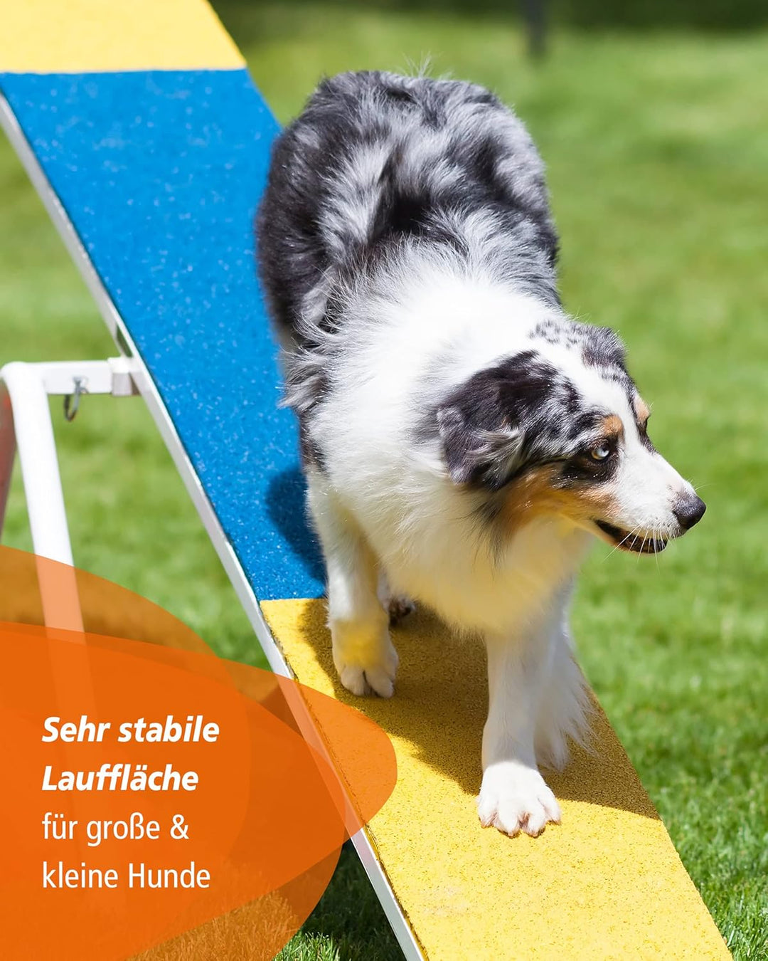 Agility-Wippe – FCI-konform – mit gummierter Lauffläche & Höhenverstellung – für sicheres Hundetrain