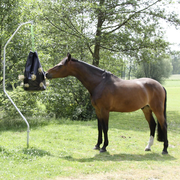 Kerbl 326102 HayBag small – Heusack bis 8kg, Heunetz Heuraufe Beschäftigungssack