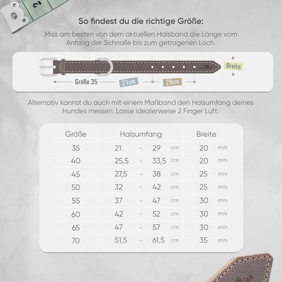 FREUDENTIER Hundehalsband aus zertifiziertem Leder - Inkl. Geschenksäckchen - Gepolstert & super kom