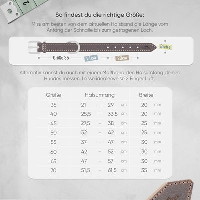 FREUDENTIER® Hundehalsband aus Leder, Made in Holland, gefüttert & super komfortabel, hochwertiges b