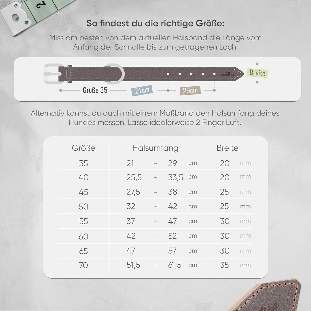 FREUDENTIER Hundehalsband aus Leder, Made in Holland, gefüttert &amp; super komfortabel, hochwertiges br