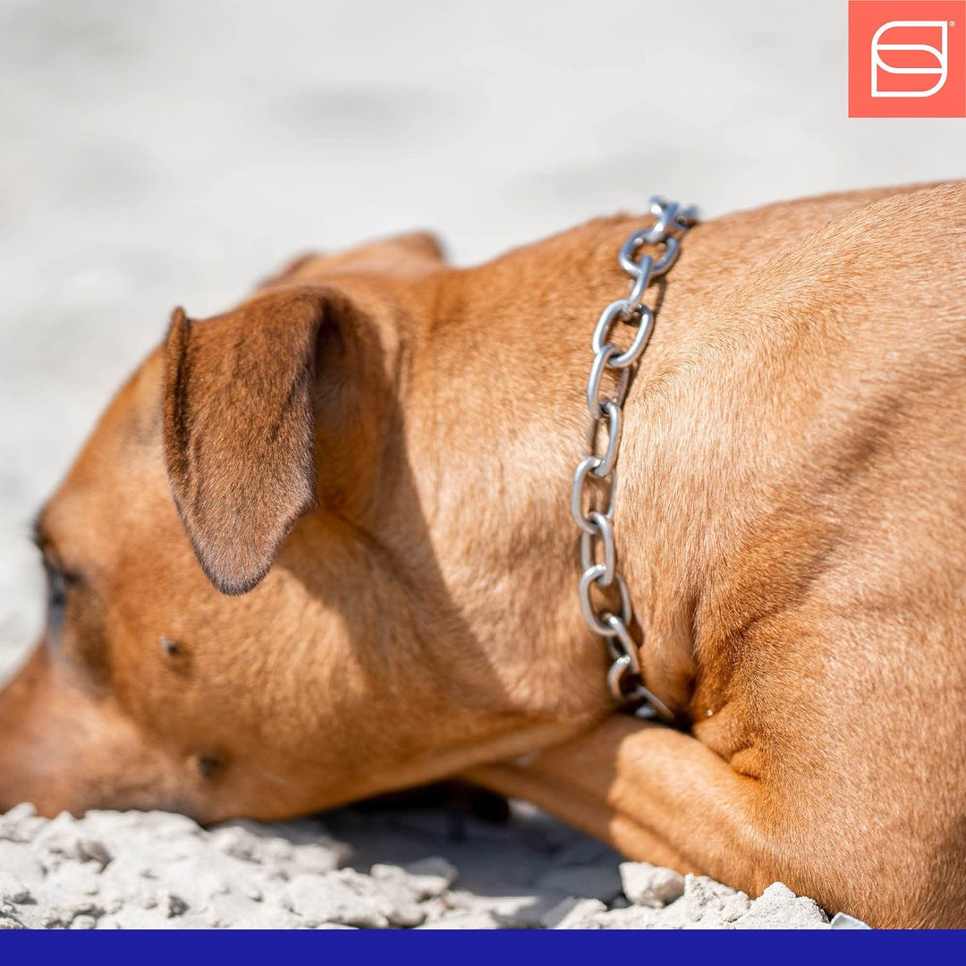 Sprenger Hundehalskette mit Sprenger Haken aus Edelstahl 3mm I Grösse individuell einstellbar I Hals