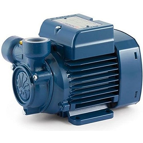 Electric Peripheral Water PQ Pump PQm100 1,5Hp Brass impeller 240 Pedrollo