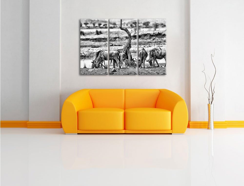 Pixxprint Monocrome, Kaffernbüffel Herde in Savanne 3-Teiler Leinwandbild 120x80 Bild auf Leinwand