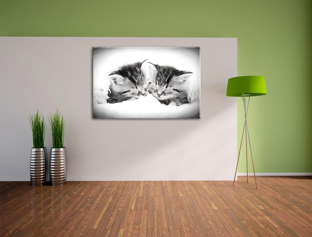 Katzenbabys Kohle Effekt, Format: 100x70 auf Leinwand, XXL riesige Bilder fertig gerahmt mit Keilrah