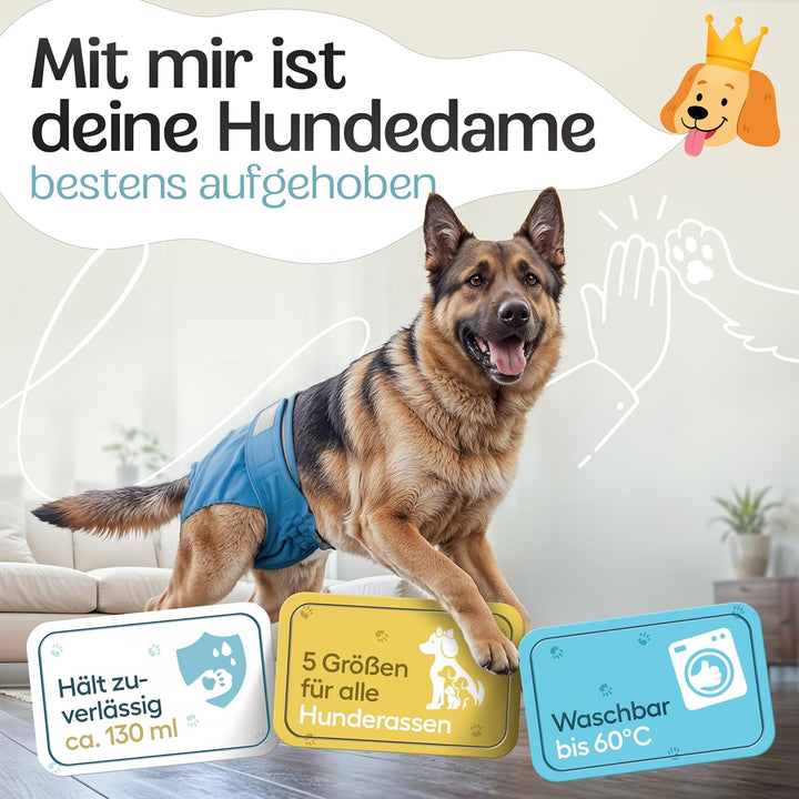 HUND IST KÖNIG Hundewindeln für Hündinnen (3 Stück) - Hochabsorbierende Läufigkeitshose für Hündinne