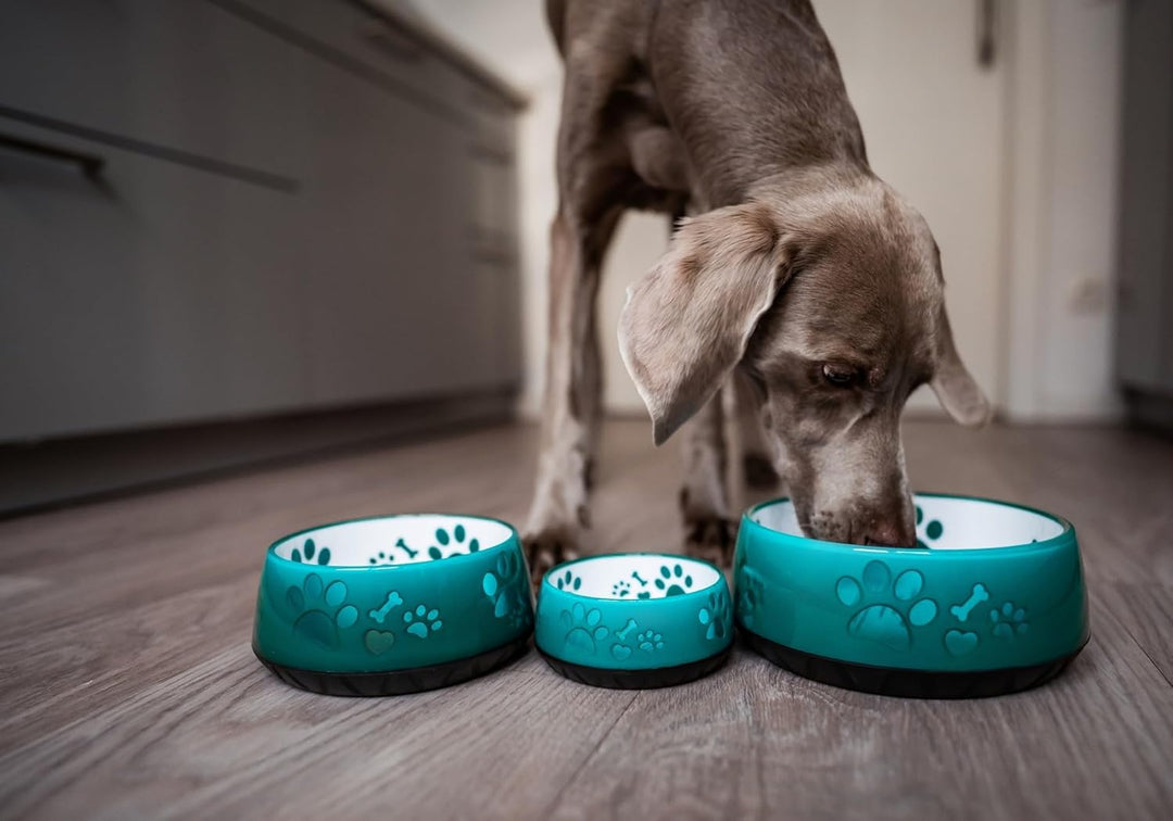 Hundenapf kleine Hunde/Hundenapf grosse Hunde/Futternapf Hund/Trinknapf Hund/S/M/L rutschfest (M 101