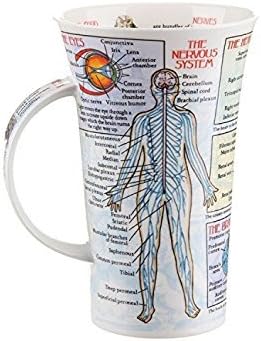 Dunoon, Trinkbecher, Glencoe, Biologie, porzellan, Bodyworks, Einheitsgrösse Knochenporzellan, Knoch