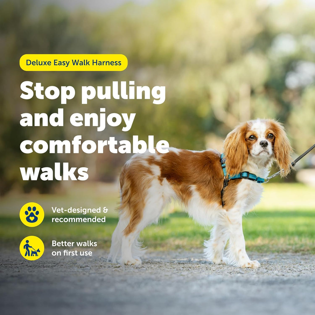 PetSafe Deluxe Easy Walk Hundegeschirr Meer Small, Meer Small