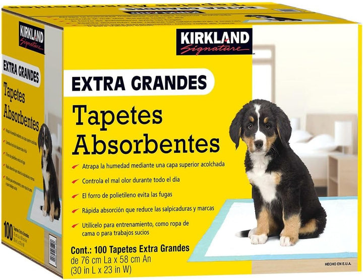 Kirkland Signature Extra grosse Saugeinlagen, 100 grosse Pads, 30 x 23 (Originalversion)