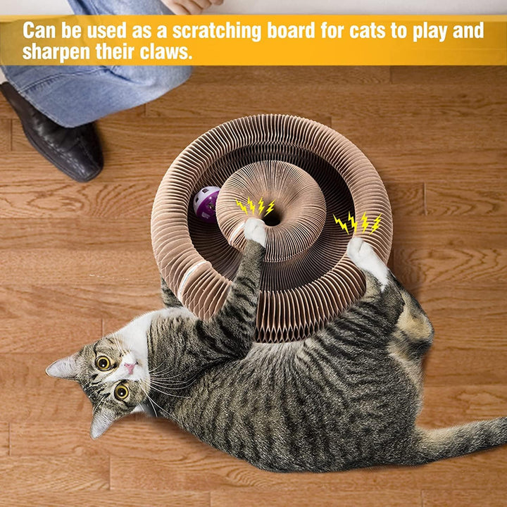Kratzbrett Katze,Magic Organ Cat Scratching Board,Katzenspielzeug 2-in-1 Cat Kratzbrett mit Glöckche