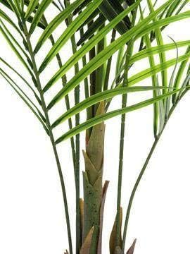 artplants.de Deko Grossblatt Arecapalme, 165cm, wetterfest - Kunstpalme - Künstliche Areca Palme