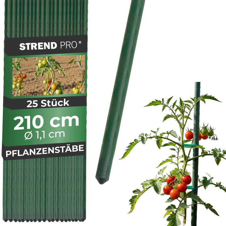 STREND PRO Pflanzstäbe 210 cm - 25 STK. Set | Ø 11 mm Stahl + Kunststoff | Rankstab Grün | Tomaten &amp;