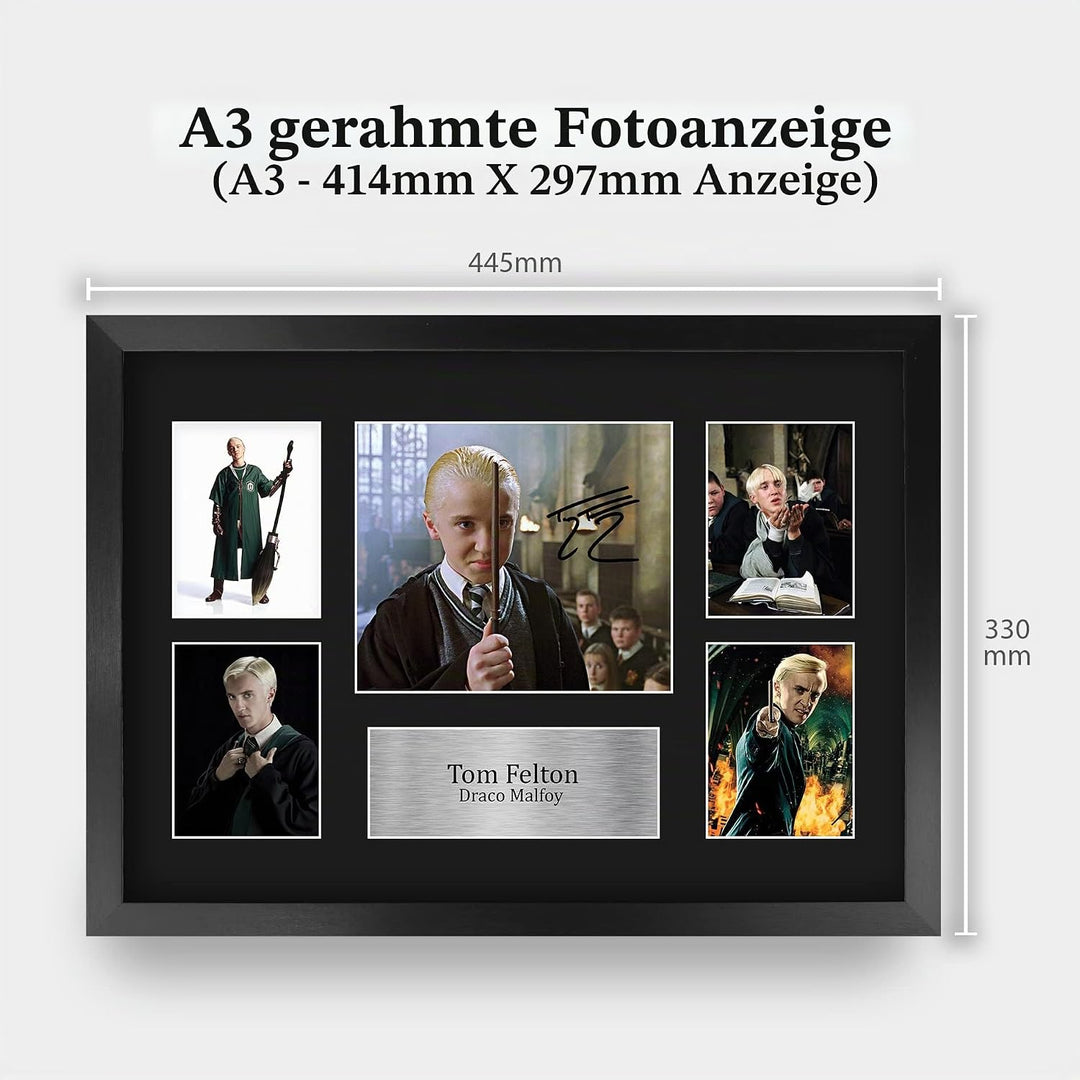 HWC Trading FR A3 Tom Felton Harry Potter Draco Malfoy Geschenke Gedruckt, Signiert Autogramm Bild D