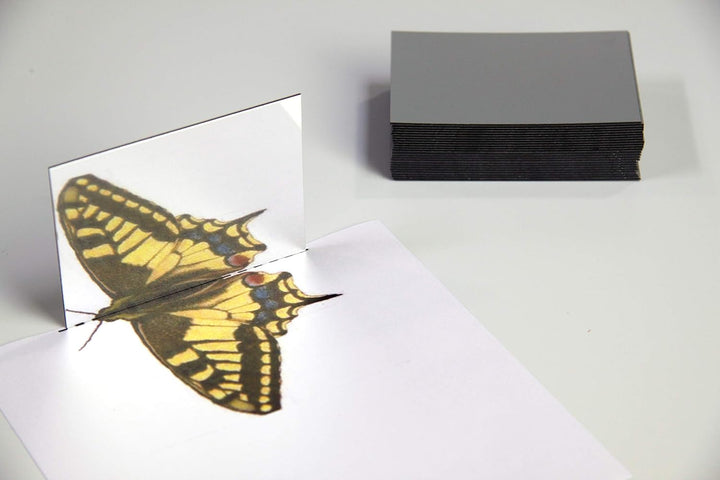WISSNER 81500 aktiv lernen - 25 Kunststoff Spiegel 87 x 62 x 1.5 mm 9x7 cm set of 25 Single, 9x7 cm