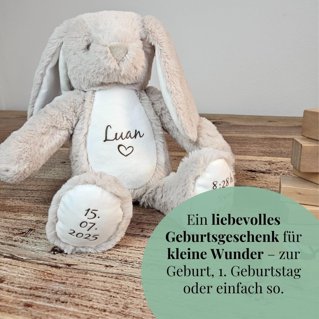 Personalisierte Geschenke Baby | Kuscheltier mit Geburtsdaten & Name | Kuscheltier für Kleinkinder H