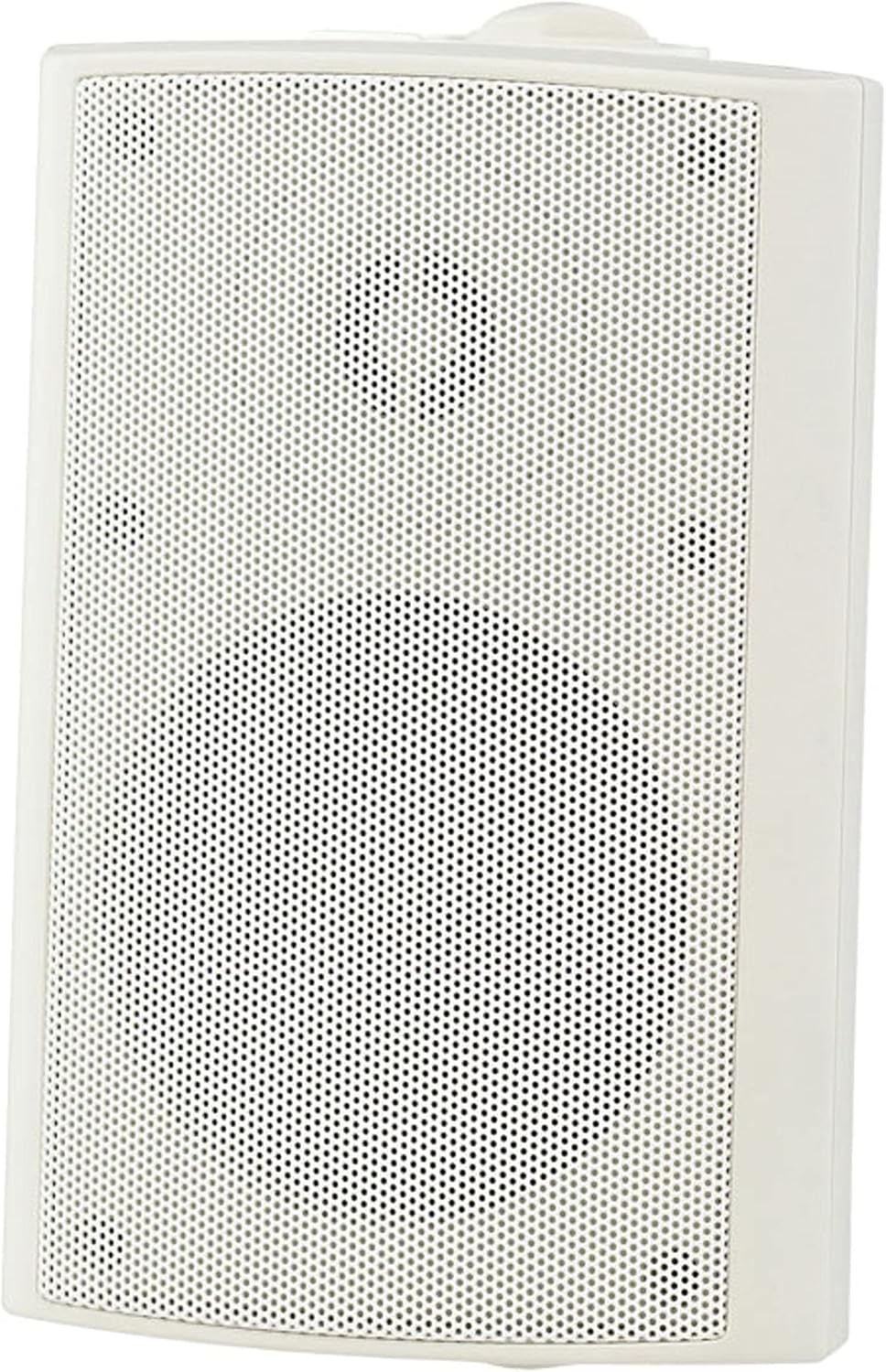 Visaton 50310 Lautsprecher WB 10, 100V+8 Ohm weiss