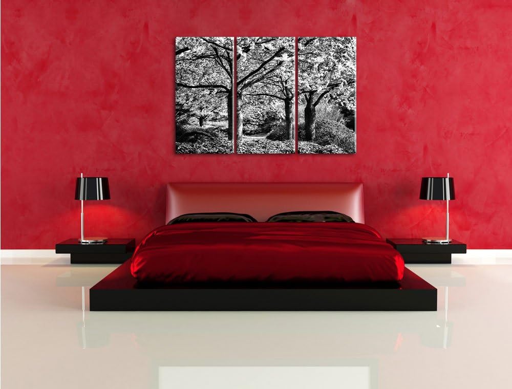 Pixxprint Rosa blühende Kirschbäume als Leinwandbild/Grösse: 3 Teilig (120x80) cm/Wandbild/Kunstdruc