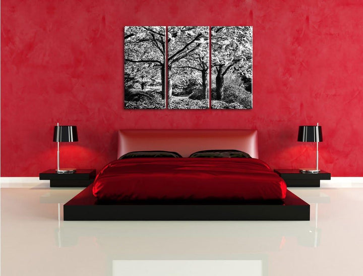 Pixxprint Rosa blühende Kirschbäume als Leinwandbild/Grösse: 3 Teilig (120x80) cm/Wandbild/Kunstdruc