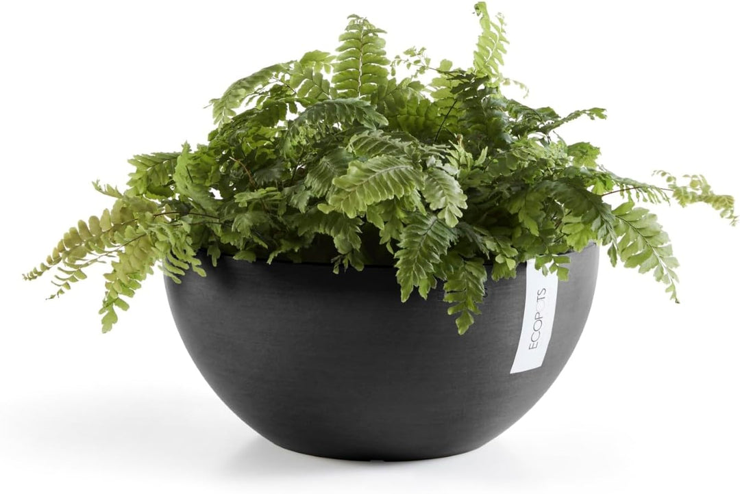 ECOPOTS Pflanzschale Blumentopf Brüssel Dunkelgrau - Durchmesser Ø 35 cm rund gross - Pflanzentopf a