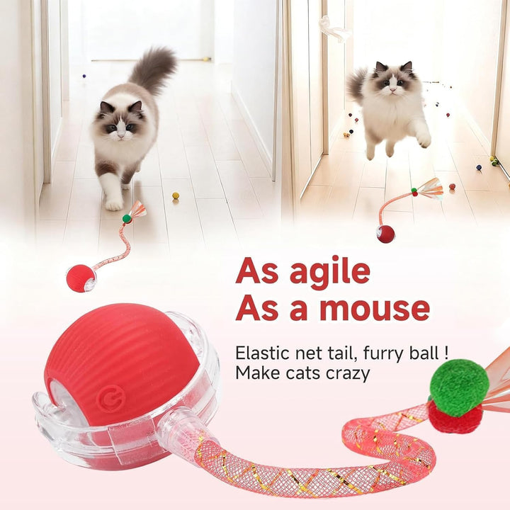 Katzenspielzeug Selbstbeschäftigung,Katzenspielzeug Ball Mit Einem Blinkenden und Schnell Schwingend