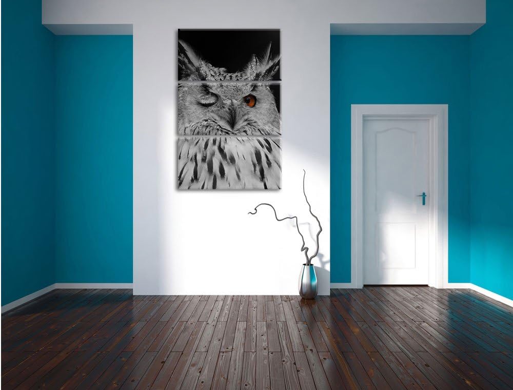 Pixxprint Dark schöne Waldohreule zwinkert schwarz/weiss 3-Teiler Leinwandbild 120x80 Bild auf Leinw