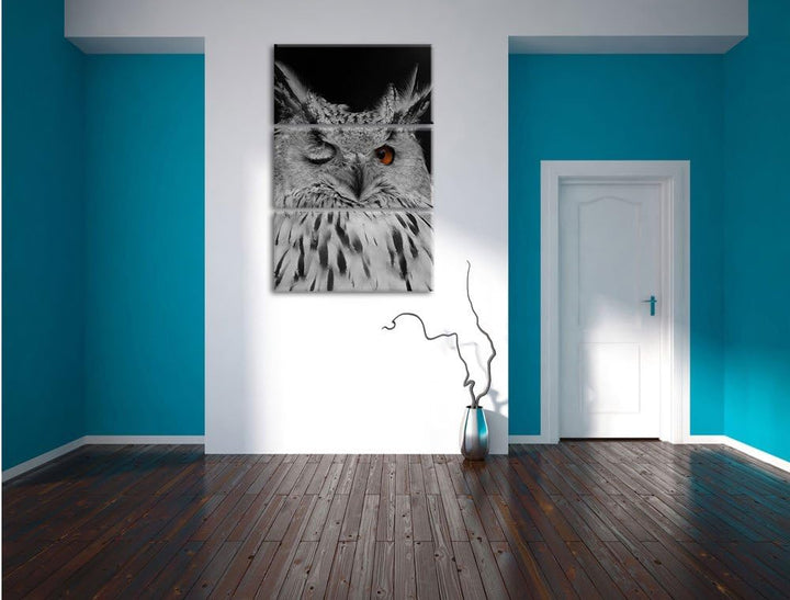 Pixxprint Dark schöne Waldohreule zwinkert schwarz/weiss 3-Teiler Leinwandbild 120x80 Bild auf Leinw