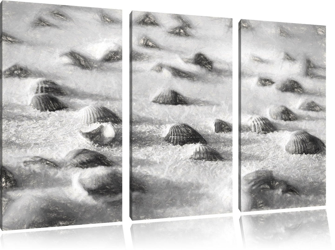 Pixxprint Muscheln im Sand Kunst als Leinwandbild/Grösse: 3 Teilig (120x80) / Wandbild/Kunstdruck/fe