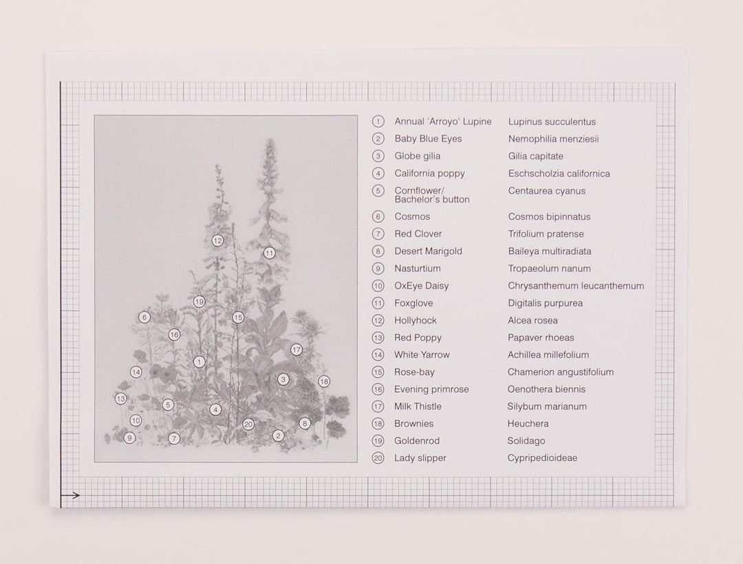 Thea Gouverneur - Kreuzstich-Set - Amerikanisce Wildblumen - Aida - 16 Count - Für Erwachsene - 554A