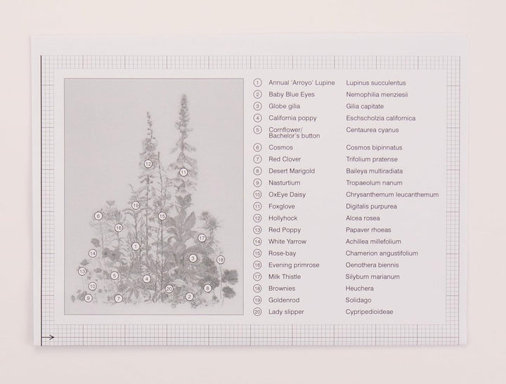 Thea Gouverneur - Kreuzstich-Set - Amerikanisce Wildblumen - Aida - 16 Count - Für Erwachsene - 554A
