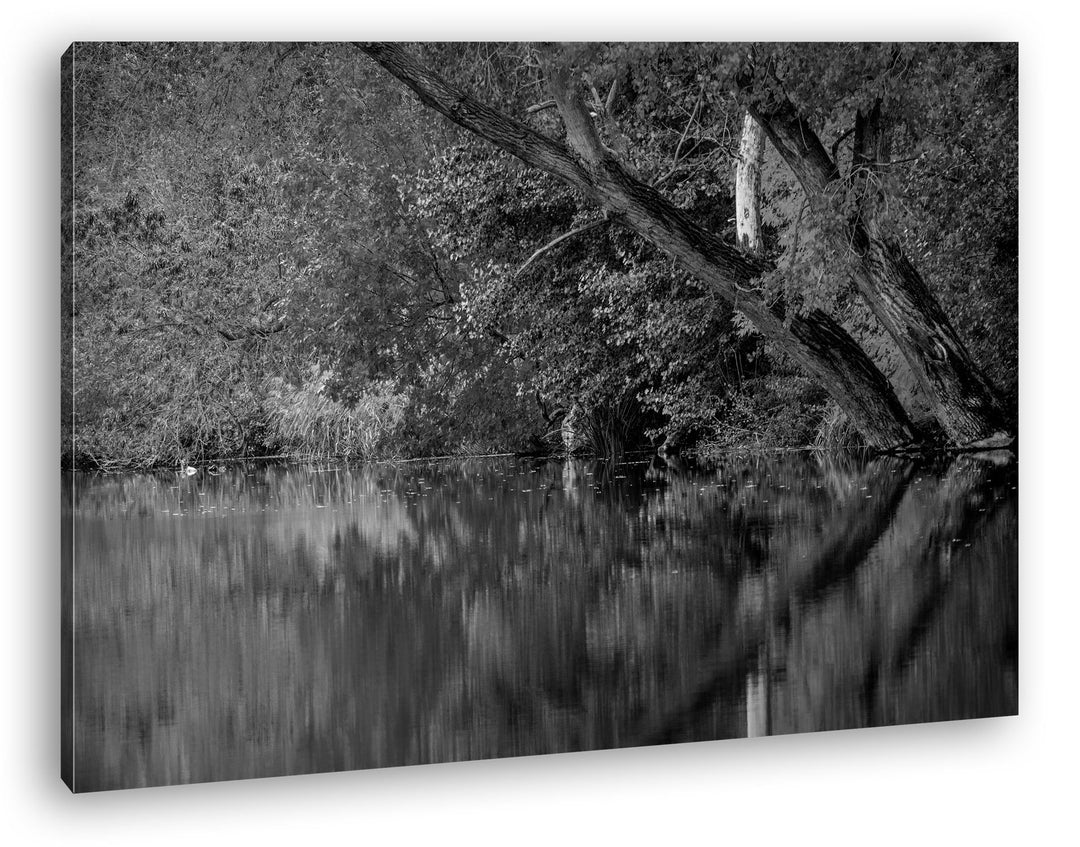 deyoli Bäume am Seeufer im Herbst Effekt: Schwarz/Weiss Format: 80x60 als Leinwand, Motiv fertig ger