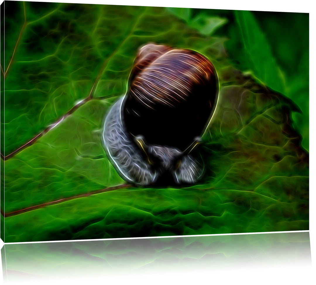 kleine Schnecke mit Schneckenhaus Deluxe Format: 100x70 cm auf Leinwand, XXL riesige Bilder fertig g