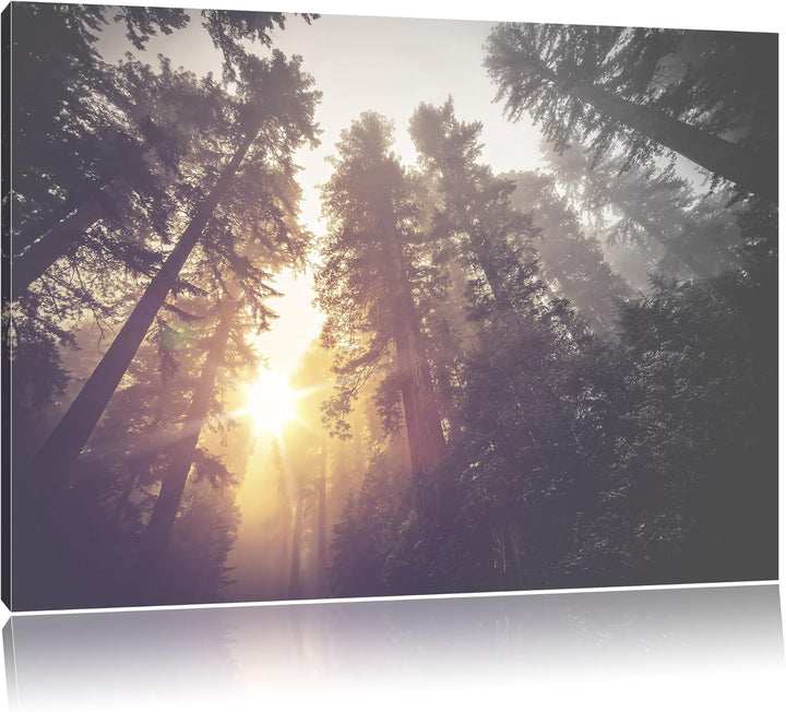 Pixxprint Blick in die Baumwipfel als Leinwandbild/Grösse: 100x70 / Wandbild/Kunstdruck/fertig bespa