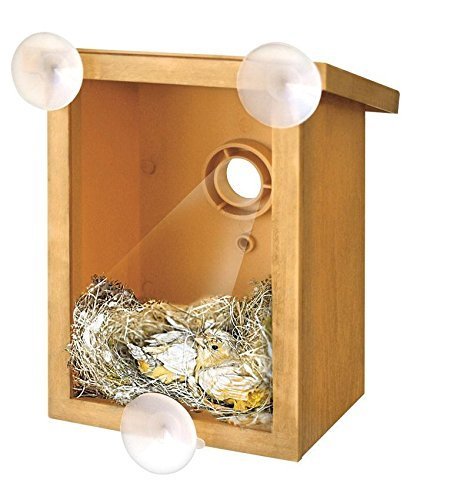 Vogelnistkasten für Zuhause