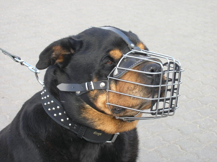 Dingo Mettal Maulkorb mit Kunststoffgitter Nr.7a Drahtmaulkorb für Hundetraining Handarbeit leicht K