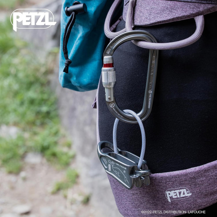 PETZL - Sicherungsgerät REVERSO Einheitsgrösse Grau, Einheitsgrösse Grau