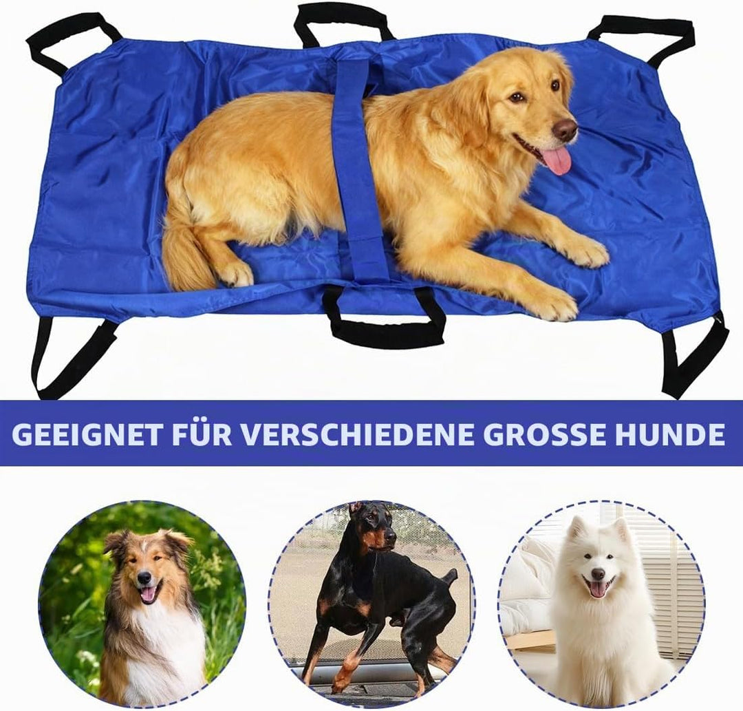 RANJIMA Faltbare Haustiertrage, Haustiertrage Trage Nylontrage für Haustiere mit 6 Griff, Transport