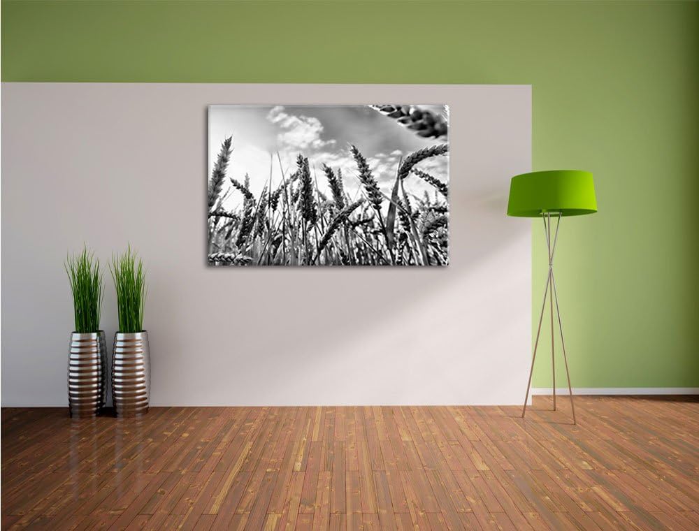 Pixxprint Getreide im Sonnenschein / 100x70cm Leinwandbild bespannt auf Holzrahmen/Wandbild Kunstdru