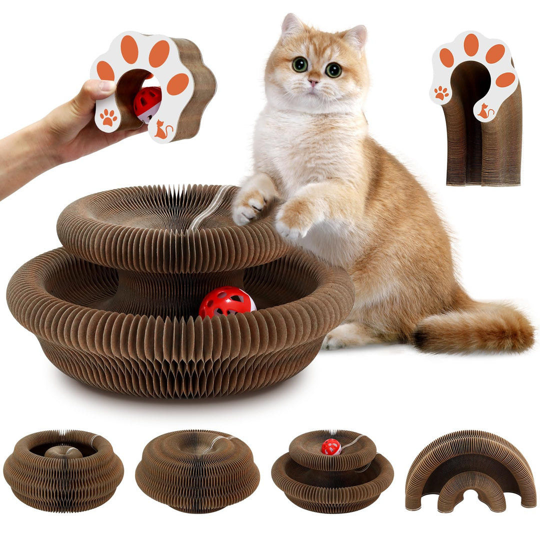 2-in-1 Magic Organ Katzen Kratzbretter, NEU Zusammenklappbares interaktives Katzenspielzeug mit Gloc