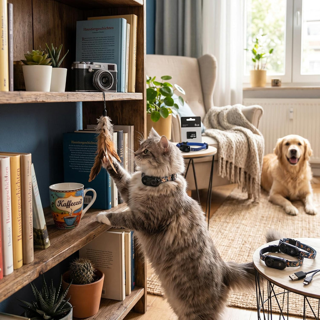 Zerodis Haustierhalsband-Kamera, Mini-Körperkamera mit 8G-Speicherkarte, HD 1080P, Mini-Katze, Hund,