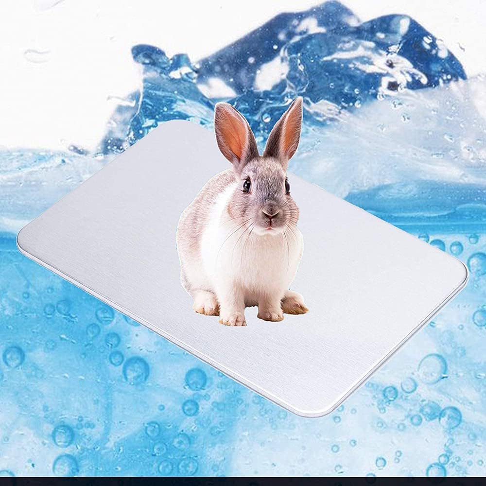 Namvo Summer Cool Plate Cooling Pad Hamster Matte Eisbett für kleine Haustiere Kaninchen Totoro Meer