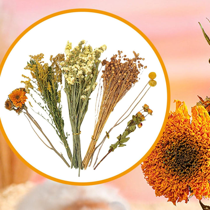 Hamster-Bettwäsche, NatürlicheBlume &amp; Kräuter Hamster Bettwäsche LebensraumDekor Getreide Meerschwei