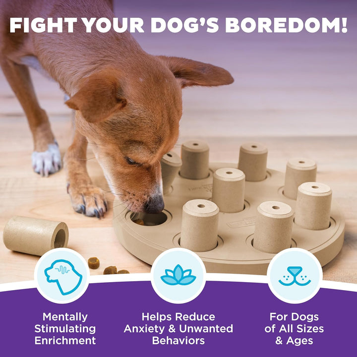 Outward Hound Nina Ottosson Dog Smart Treat Puzzle Enrichment Toy, Level 1 Beginner, Tan, Composite,