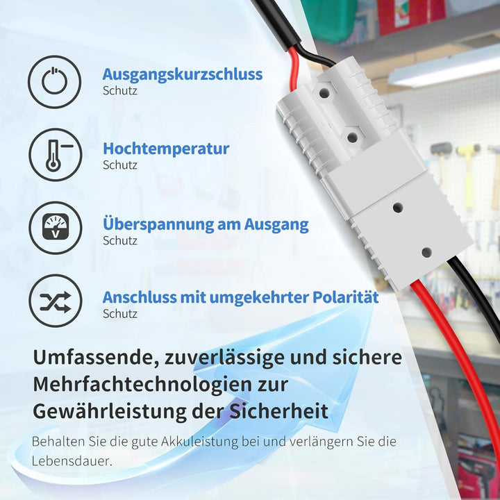 Redodo 12V 100Ah LiFePO4 Batterie mit 10A Ladegerät, Niedertemperaturschutz, Trolling-Motor Batterie