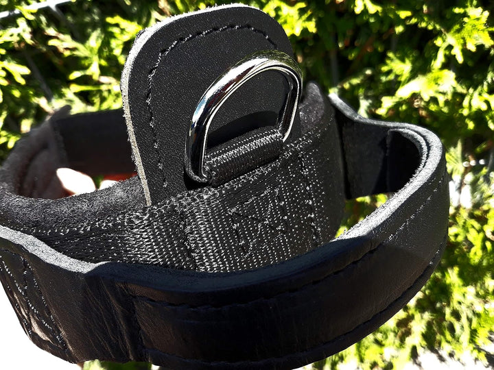 Dingo Gear Halsband für Hund &