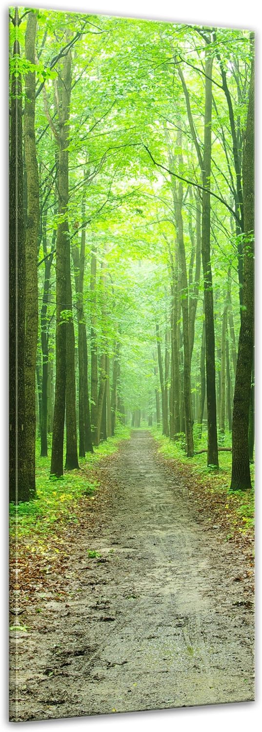 Bilderdepot24 Bild auf Leinwand | Waldweg in 40x120 cm als Panorama Wandbild XXL | Wand-deko Dekorat