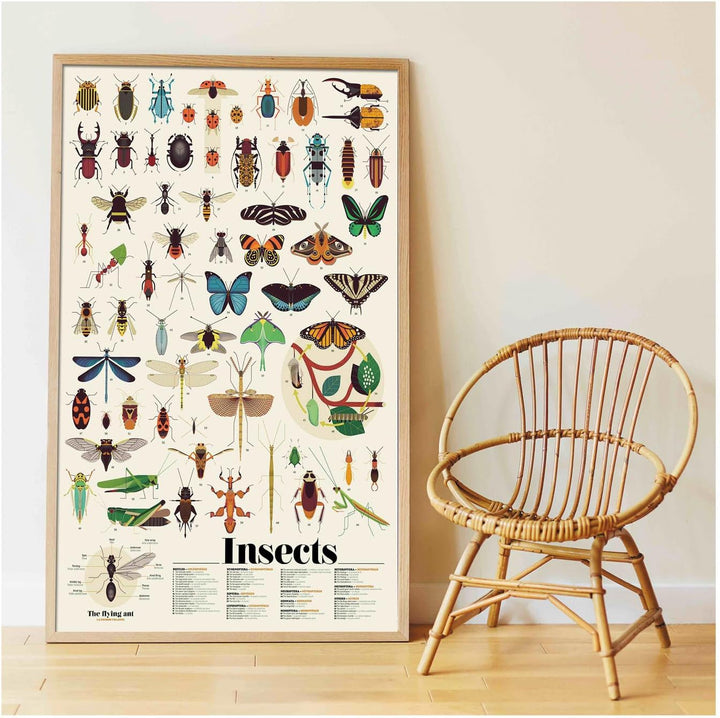 POPPIK 1841225 Sticker-Poster, Insekten, interaktives Lernposter mit Aufklebern, mehrsprachiges Inse
