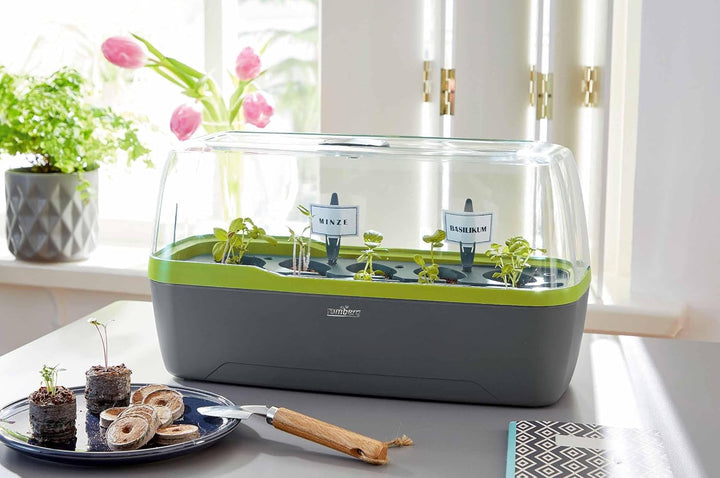 Romberg BoQube L Plus (Pflanzsystem, Farbe Anthrazit-Sommergrün, PAK-frei, lebensmittelecht, mit Bel