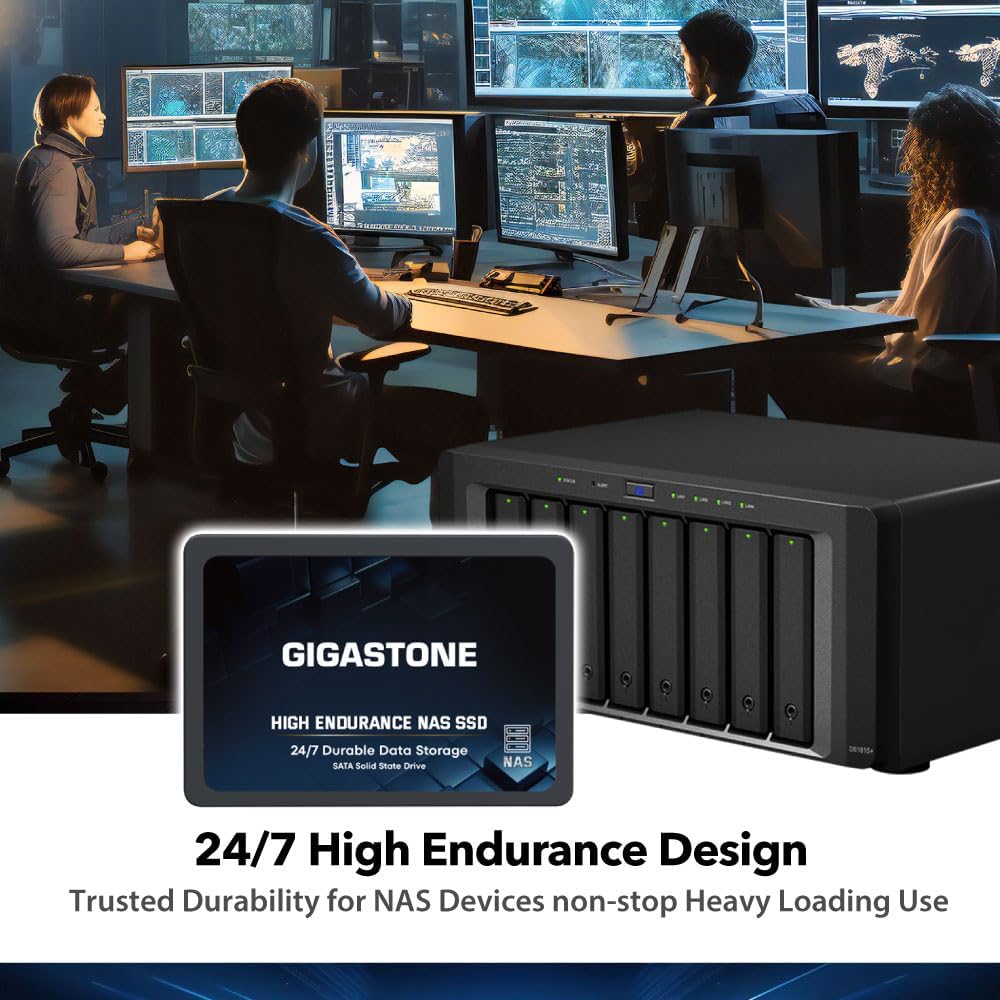Gigastone NAS SSD 4TB SSD Festplatte Hohe Dauerhaltbarkeit SSD für 24/7 Dauerbetrieb NAS-Systeme RAI